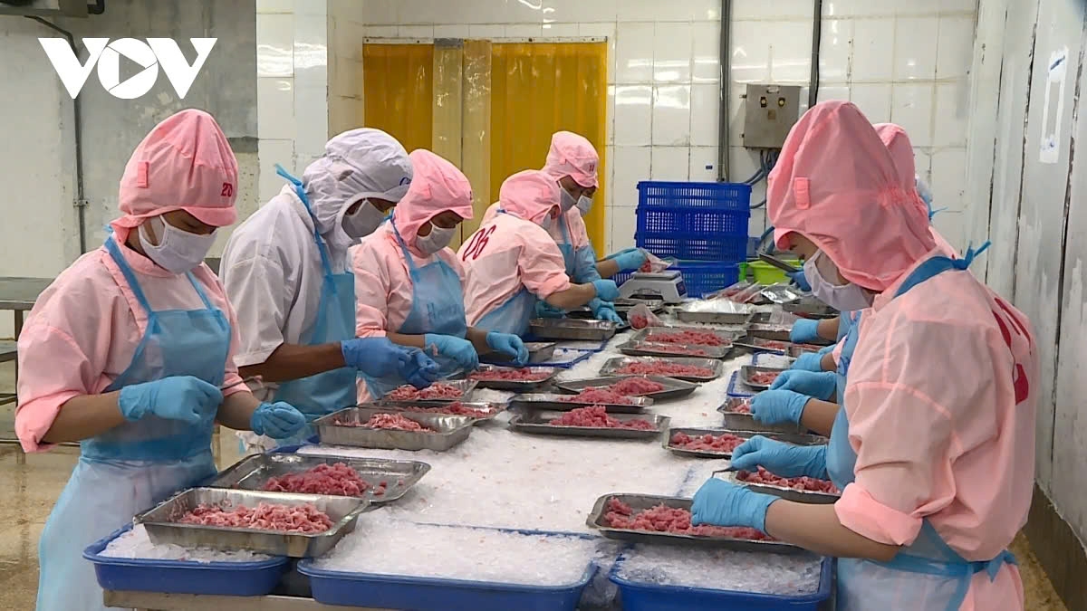 Seafood industry aims for 10-15% export growth rate in 2025